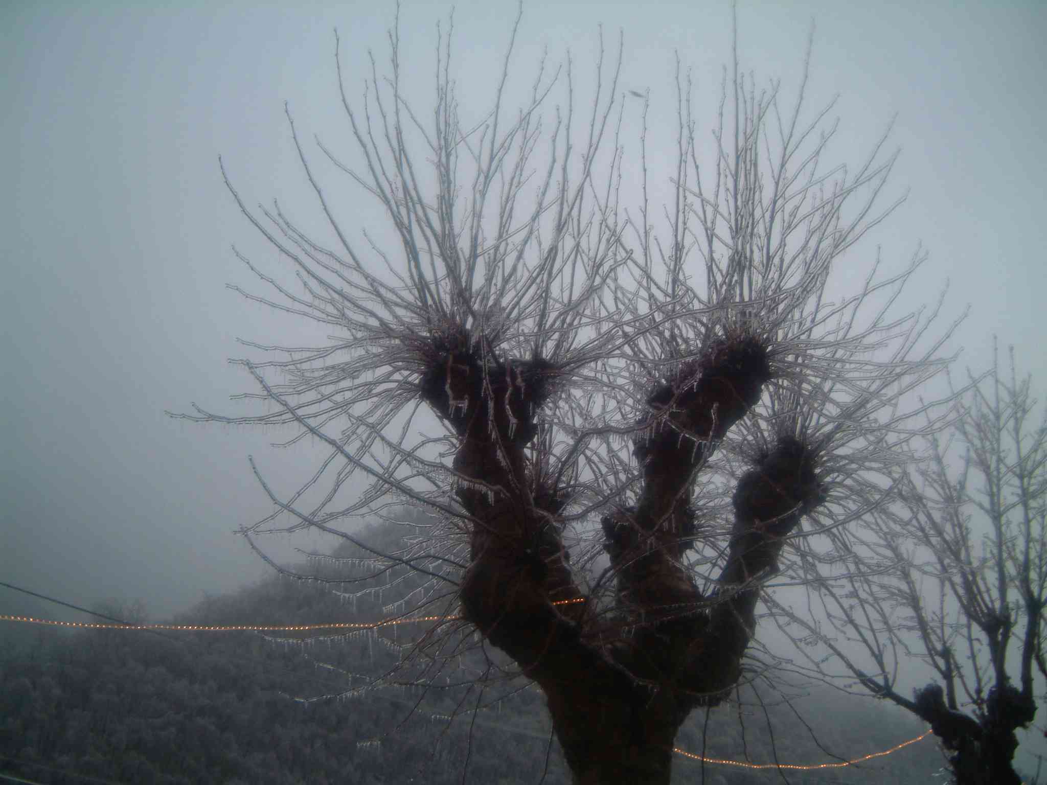  Image name: DSCF6744.JPG 
 width: 2048 pixel 
 height: 1536 pixel 
 Size: 136955 bytes 
 Click to enlarge 